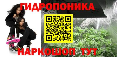 ПСИЛОЦИБИНОВЫЕ ГРИБЫ Конаково