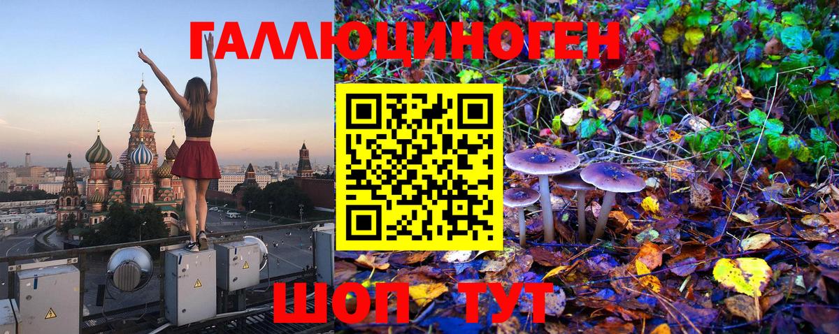 Галлюциногенные грибы Psilocybine cubensis Касимов